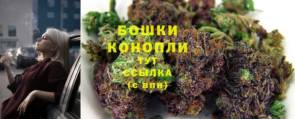 spice Абинск